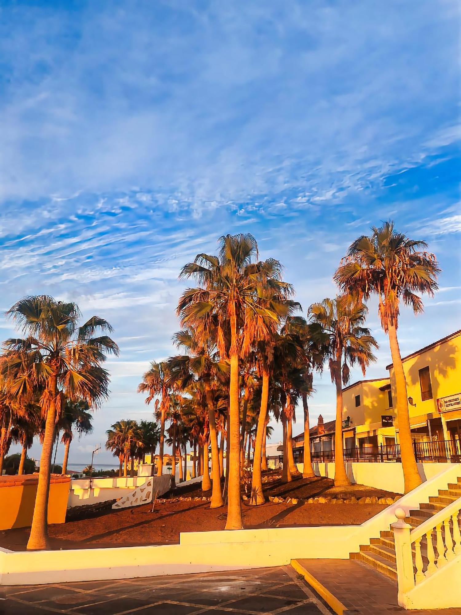 Casa Palmu Apartment - A Peaceful And Relaxing Oasis In Golf Del Sur, Tenerife San Miguel de Abona Exterior photo