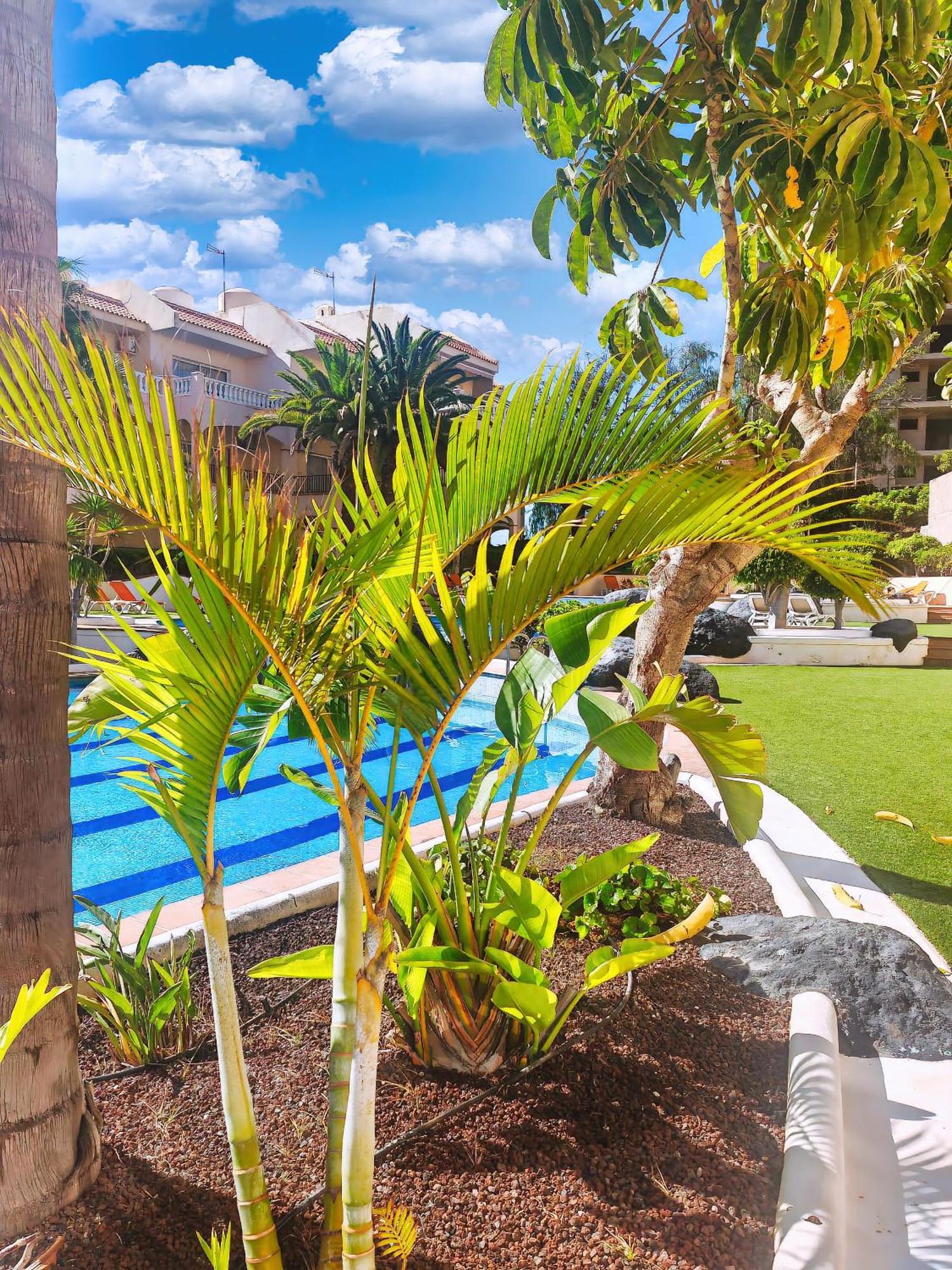 Casa Palmu Apartment - A Peaceful And Relaxing Oasis In Golf Del Sur, Tenerife San Miguel de Abona Exterior photo